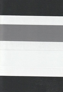 Рулонные шторы день-ночь для проема Салерно, серый 2002 купить в Старой купавне с доставкой