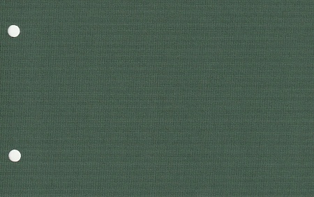 Кассетные рулонные шторы Карина Блэкаут, темно-зеленый